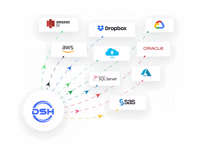 Customizable data formats